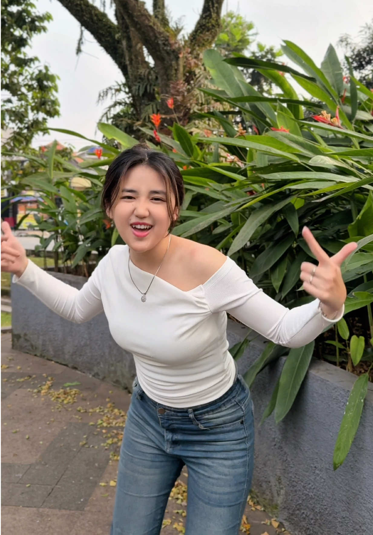 @Cici Geol