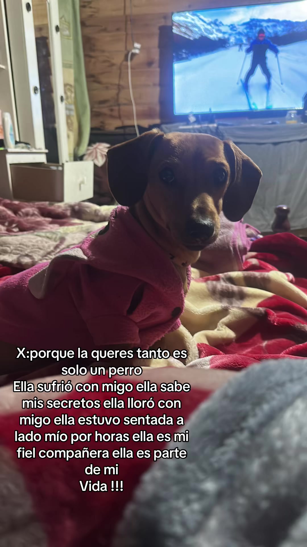 @_🧸_oxa