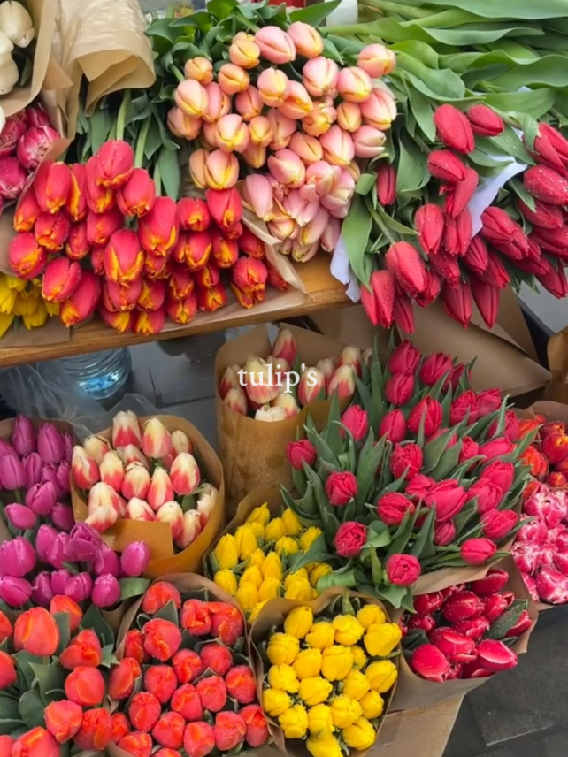 @pazin💐