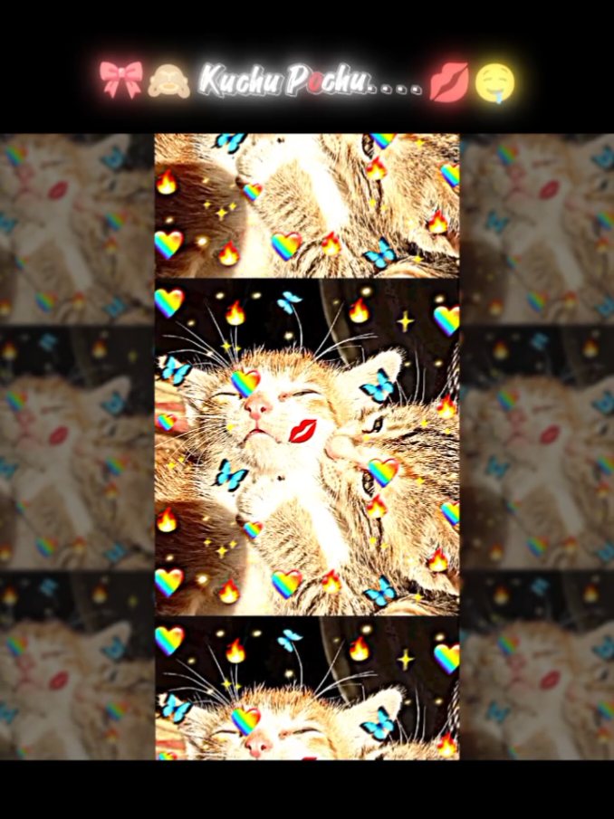@๐๐ฎ๐๐ฎ.......๐๐งธ
