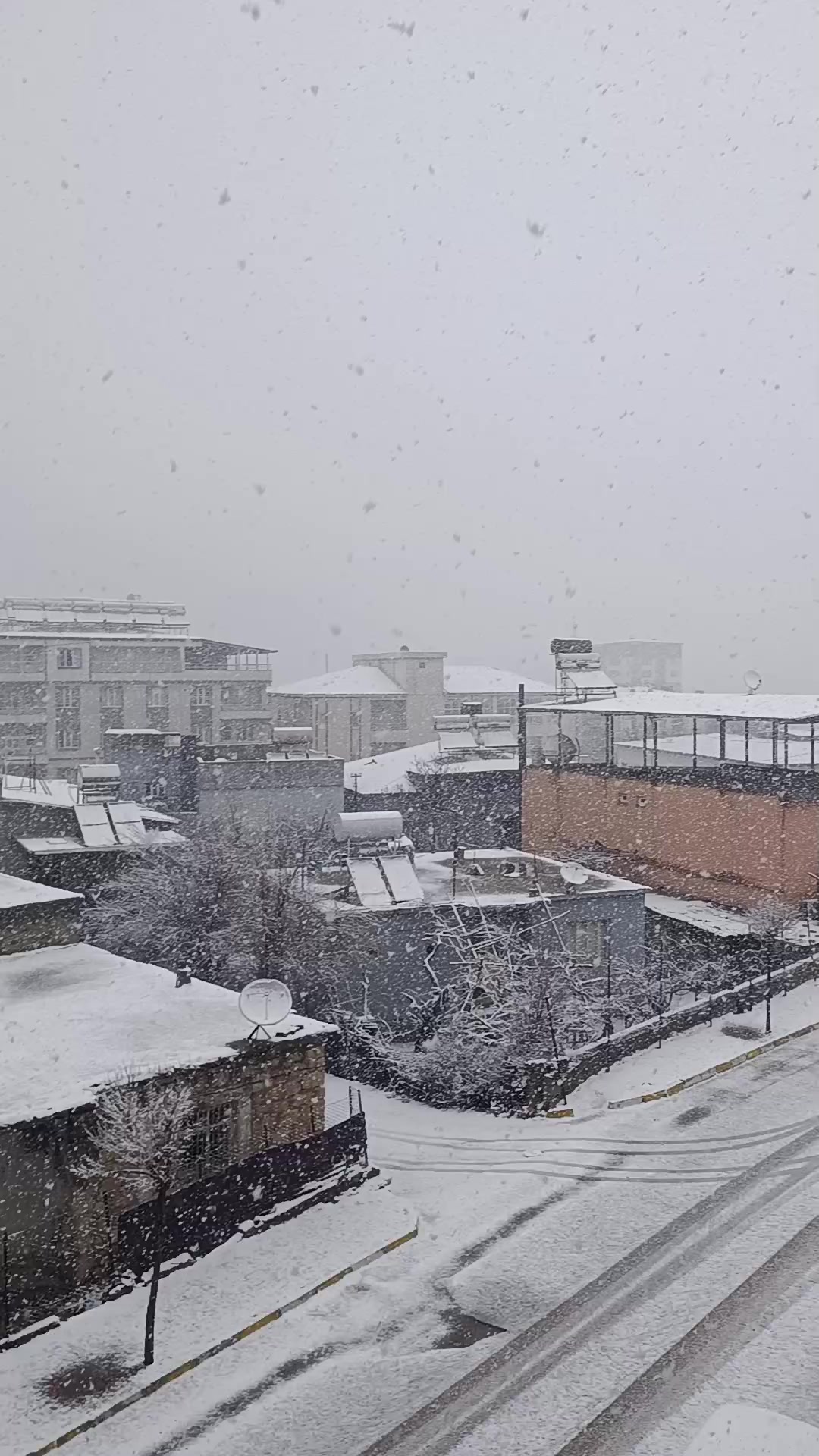 @Vahdettin Nas
