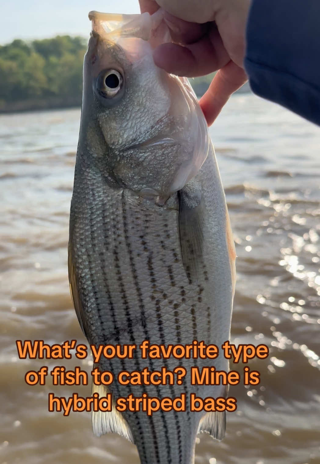 @Kentucky&ensp;Fishing