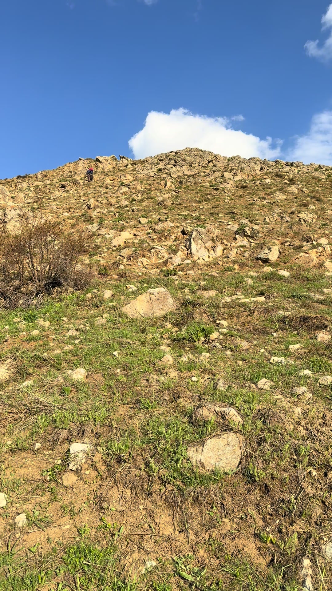 @Şilan karaman