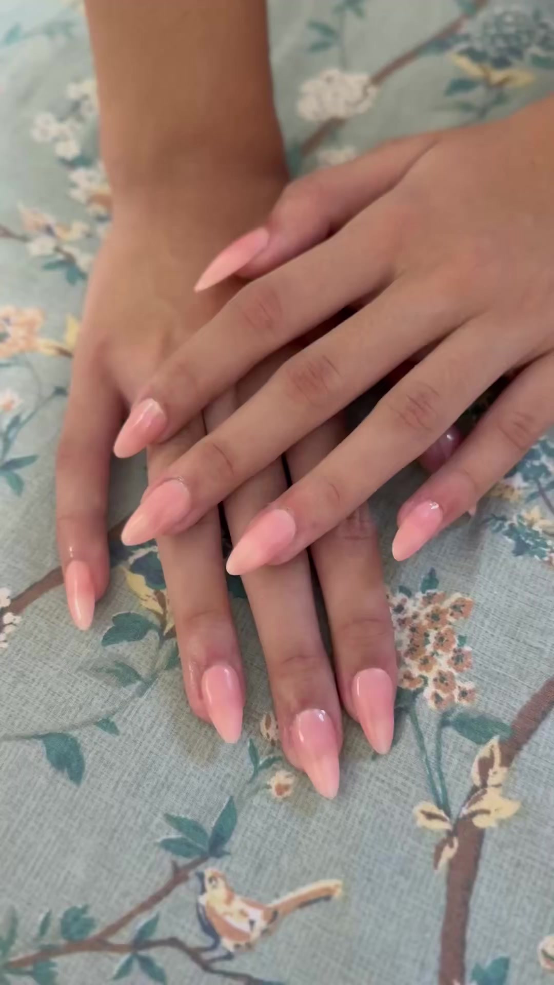 @aacacia.angel