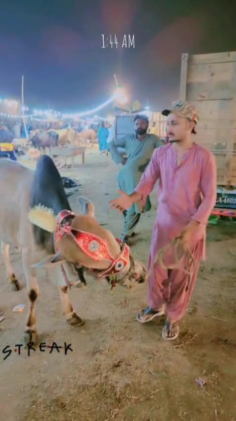 @sattar 768