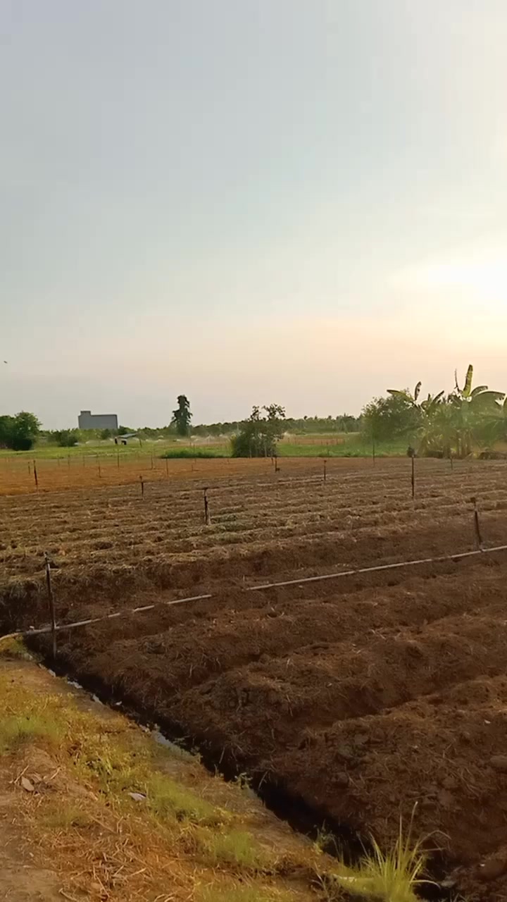 @Quốc Minh