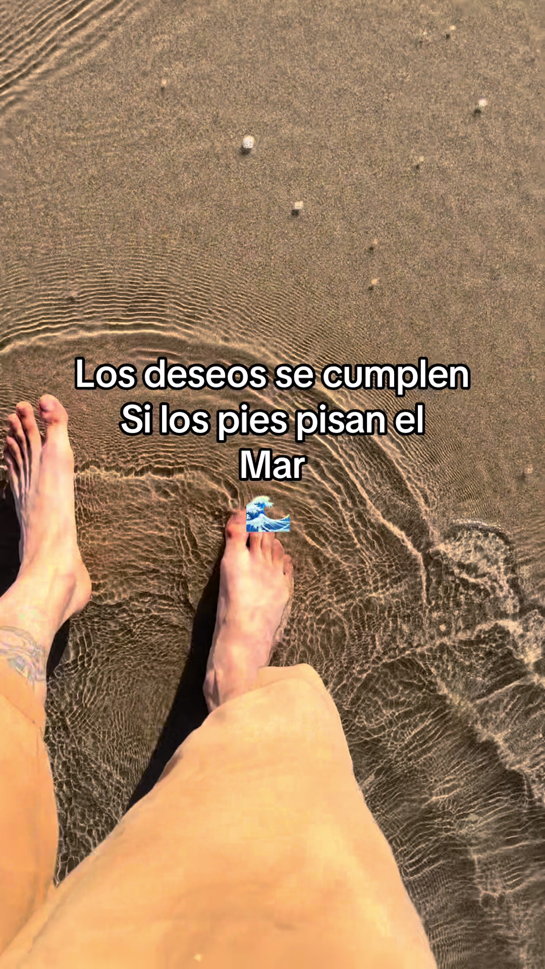 @elagusTinta