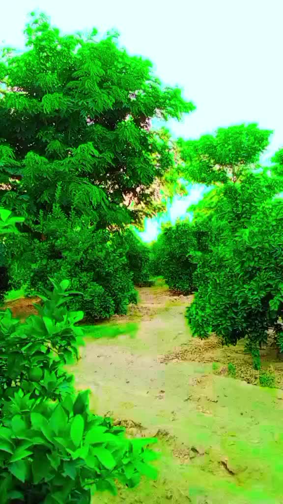@@Muhammad Zubair9764