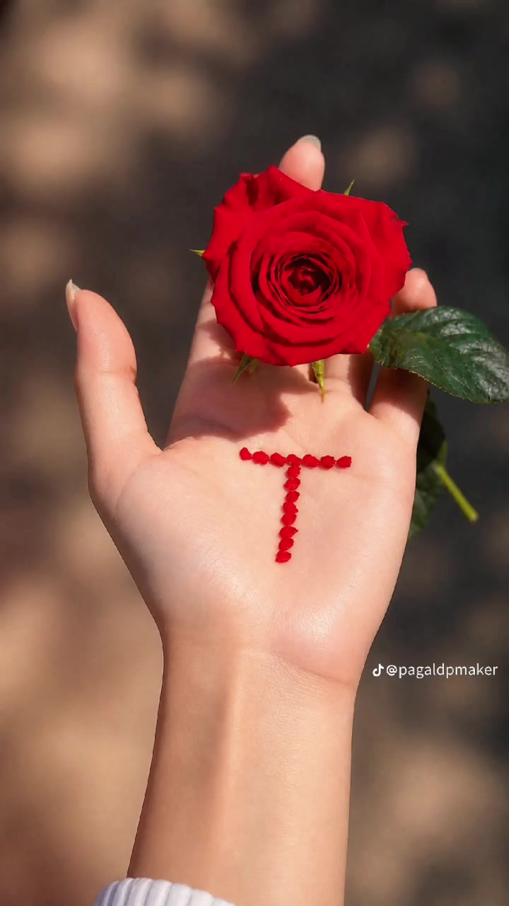 @🧿𝘀𝘁𝗮 𝗹𝗲𝘄𝗮𝗻𝗶 🧿