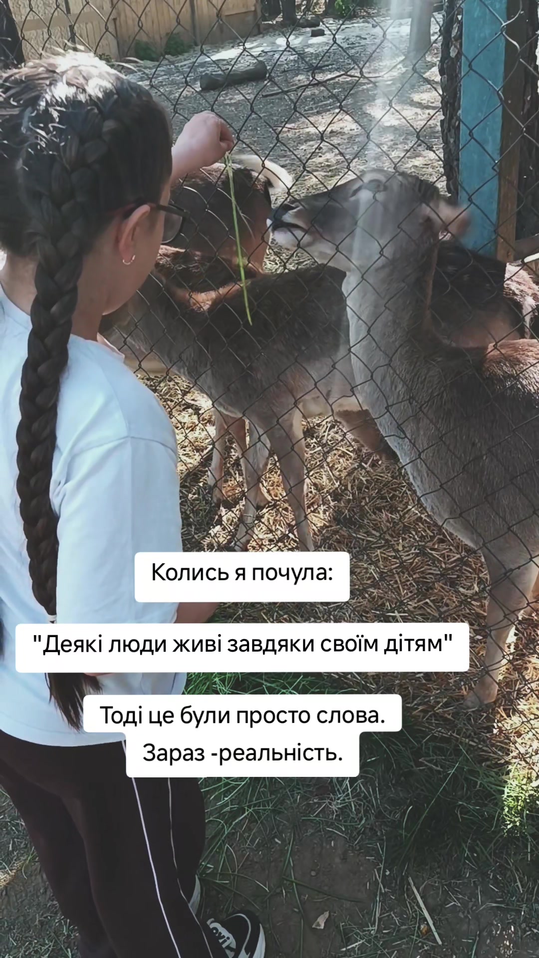 @Oksana 🇺🇦