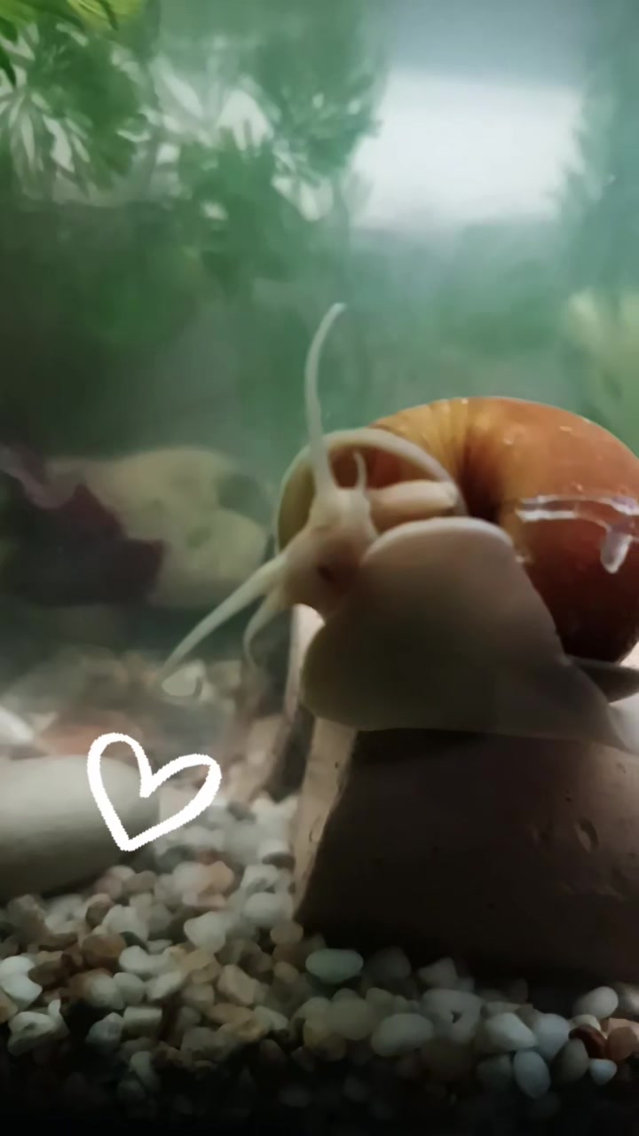 @❤️Анита💙Донецк🖤