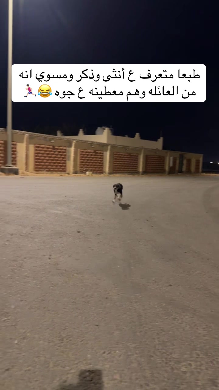 @مـاجـد✨
