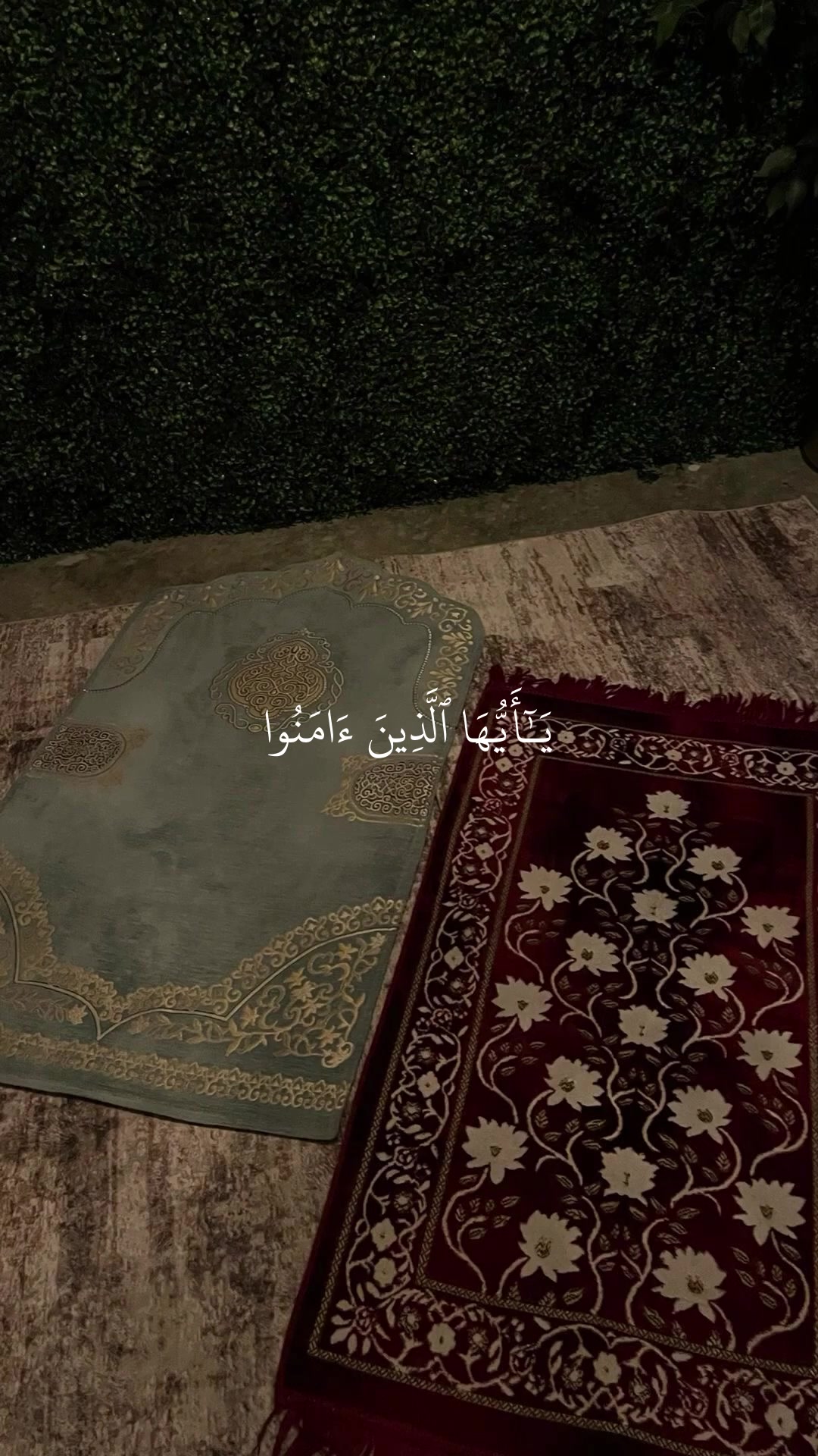 @Quan|قران كريم