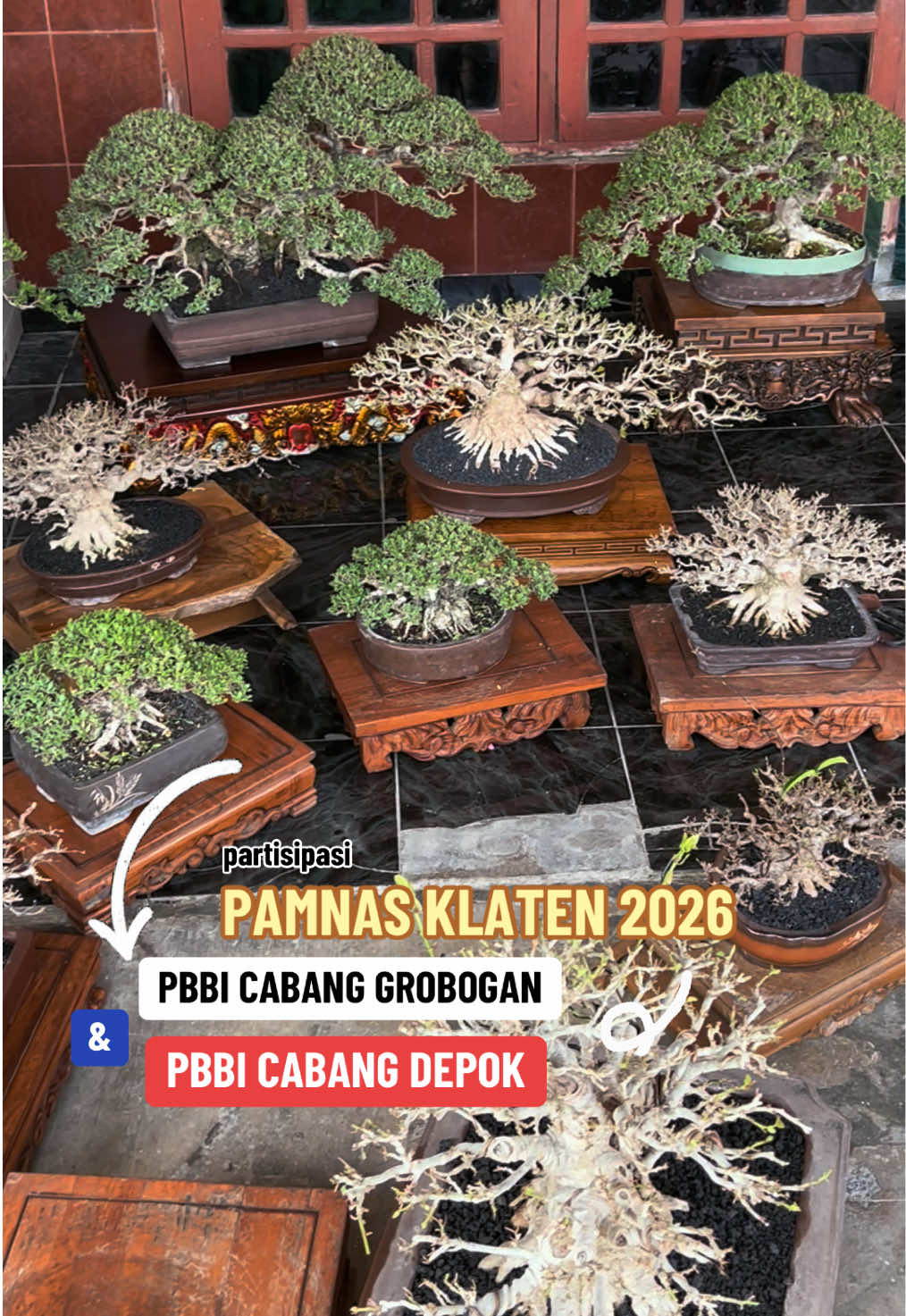 @warbonsai_purwodadi
