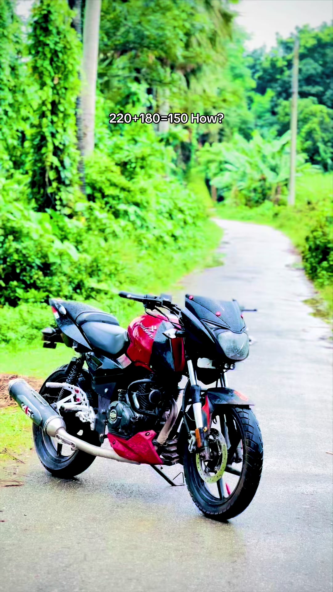 @Bunny Rider 20K❓