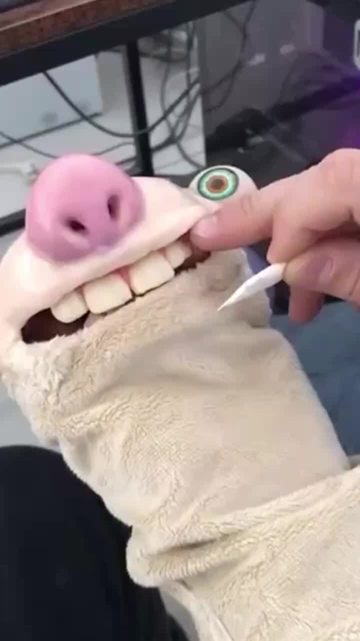 @_Oldmaan_