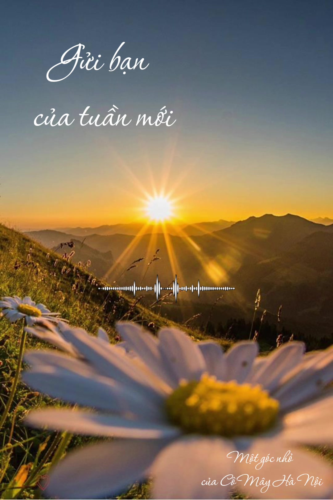 @C&ocirc; M&acirc;y H&agrave; Nội