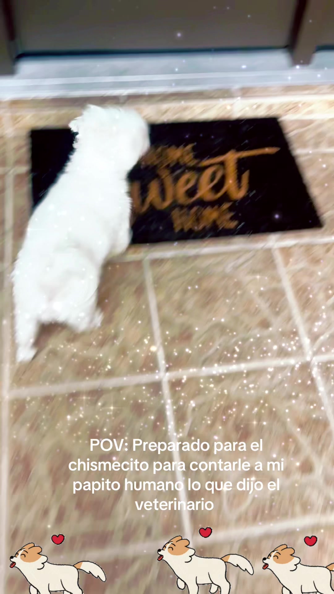 @los3huevertos