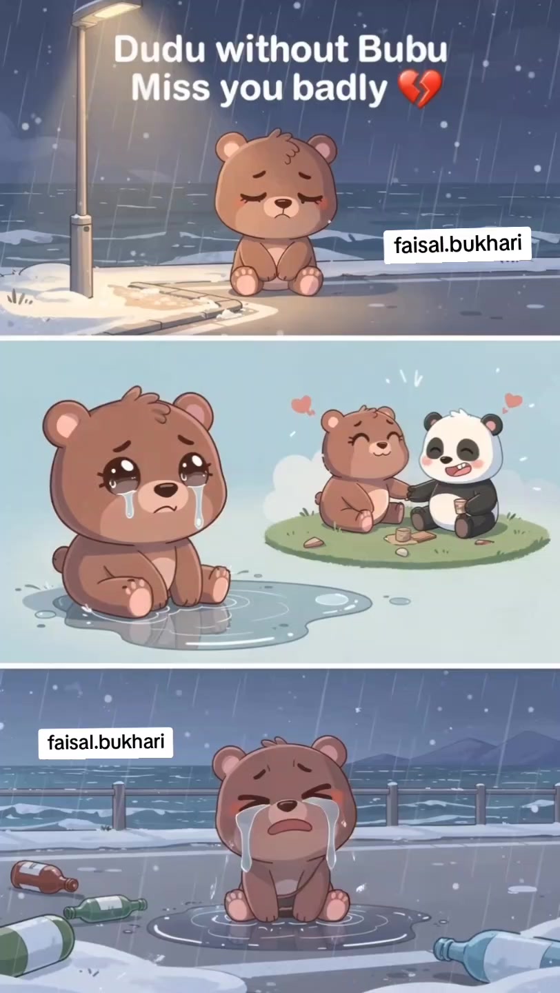 @Faisal Imdad Bukhari