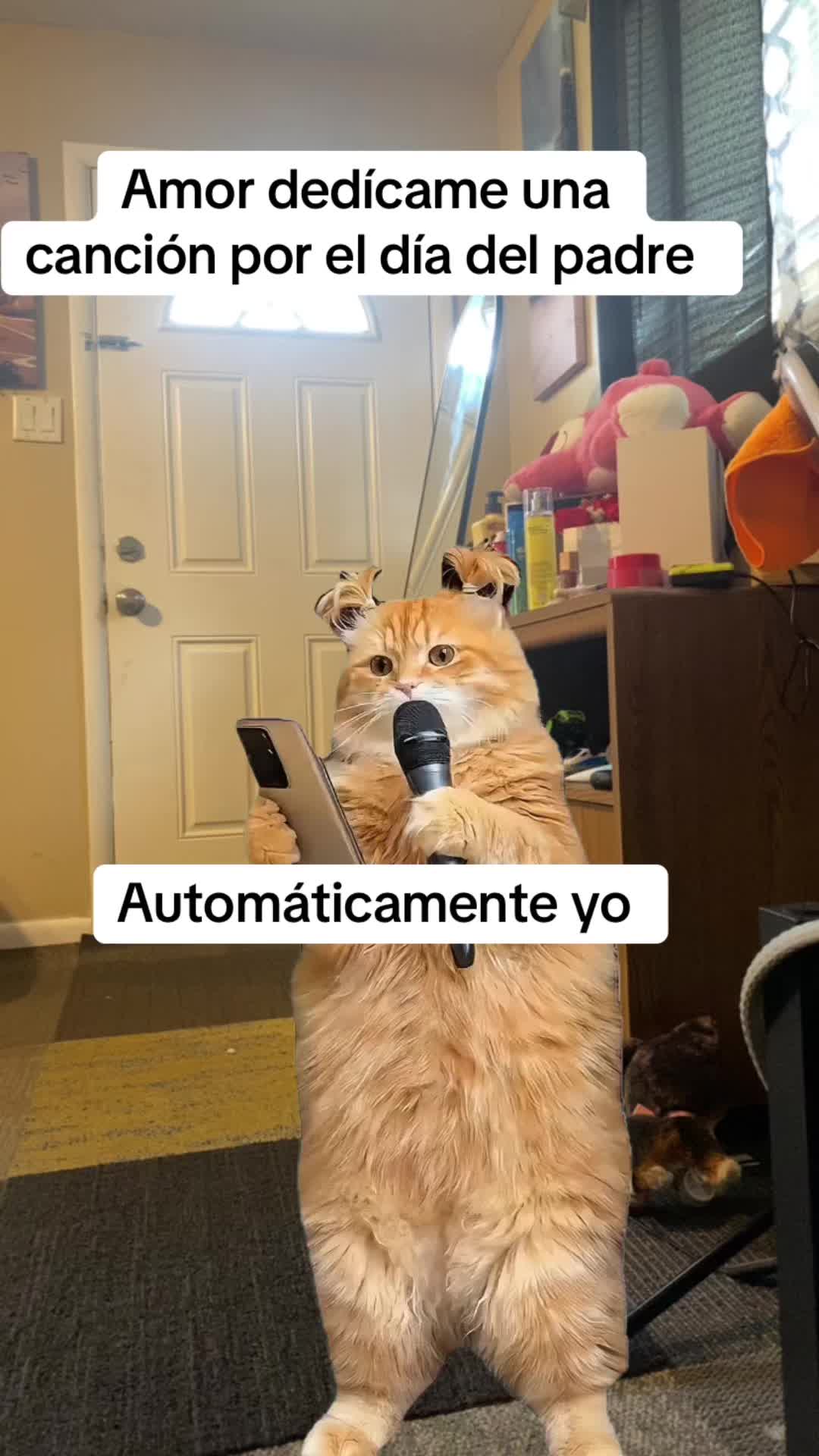 @Xioma