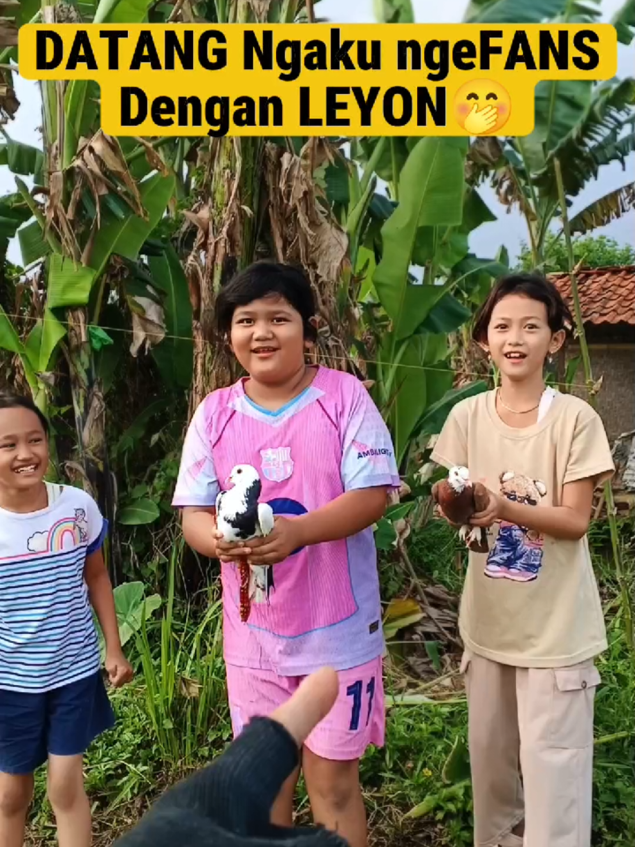 @BANG LEYON