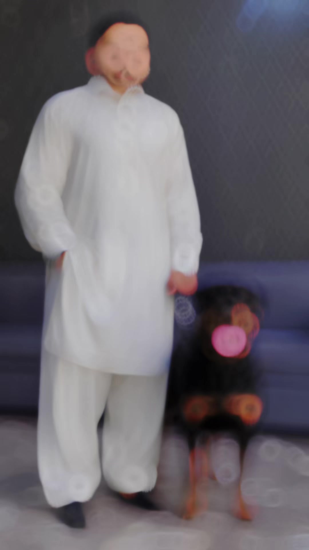 @Salman Ali 🇸🇦