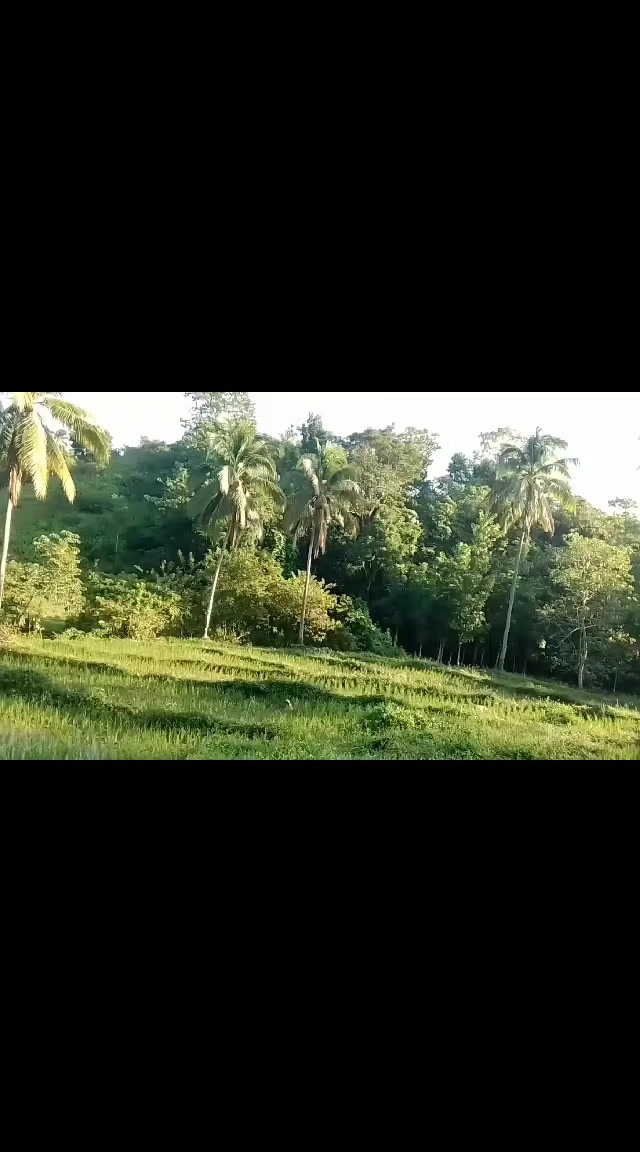 @khadamang Saudia42