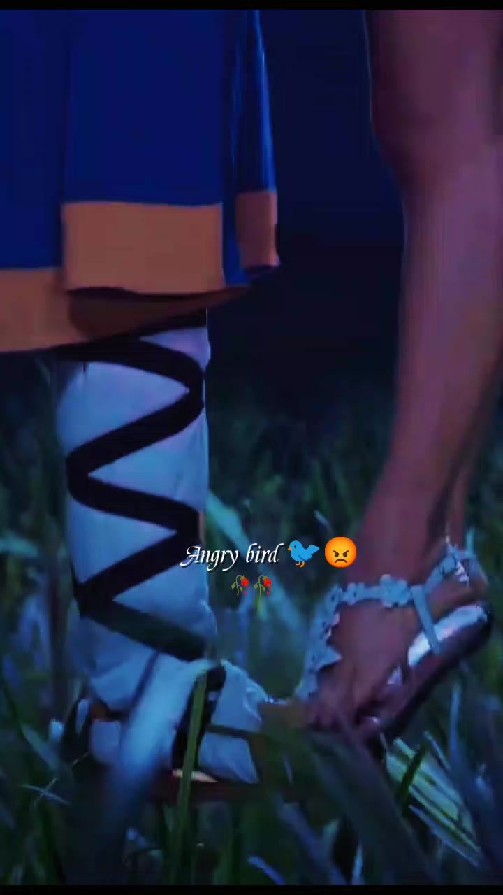 @💫𝖆𝖓𝖌𝖗𝖞 𝖇𝖎𝖗𝖉𝖘💫💥