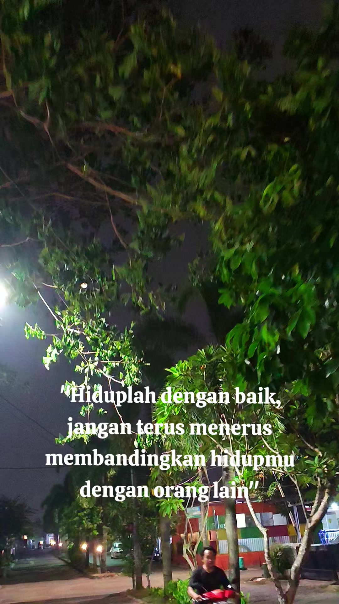 @sii_muff