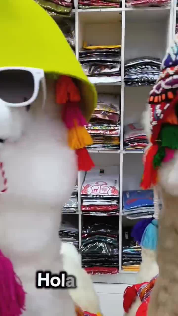 @Guillermo