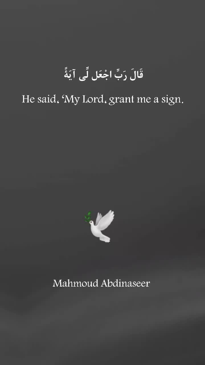 @Mahmoud Abdinaseer 🕊
