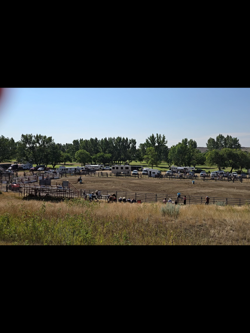 @Barrel Racing Journey