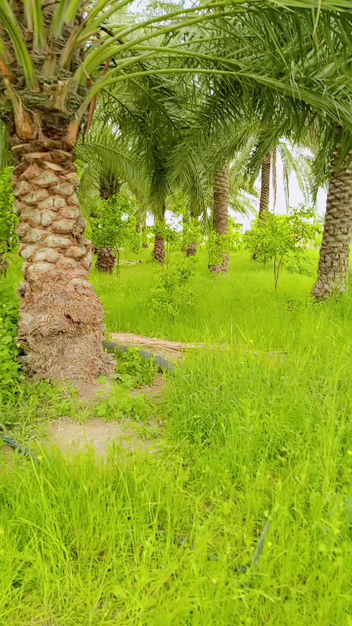 @هاجر طارق 🍒