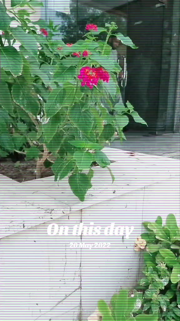 @صدام حسين چانڊيو🇸🇦