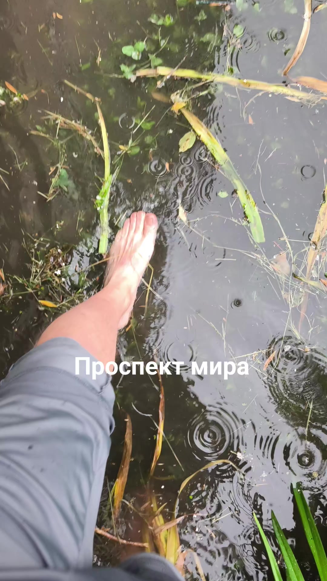 @yuricsolikcarp