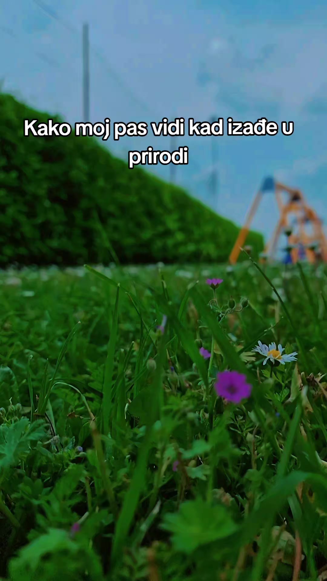 @Balkanka