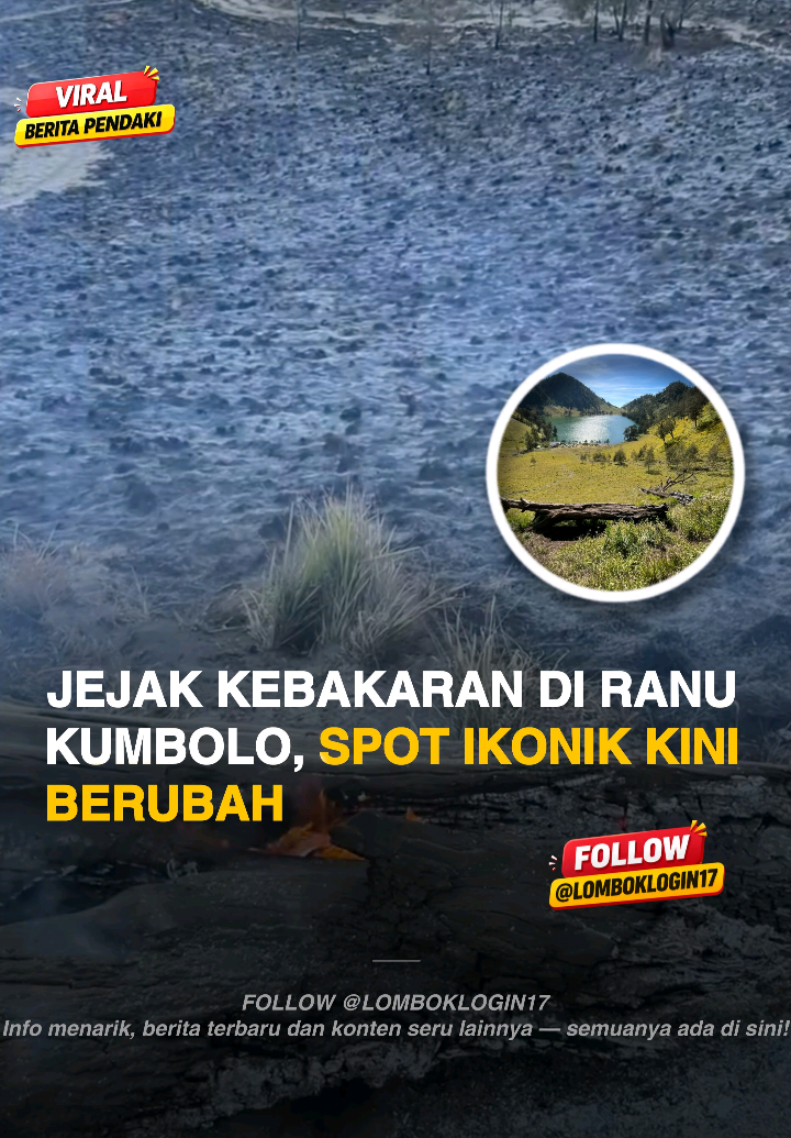 @LOMBOK LOGIN