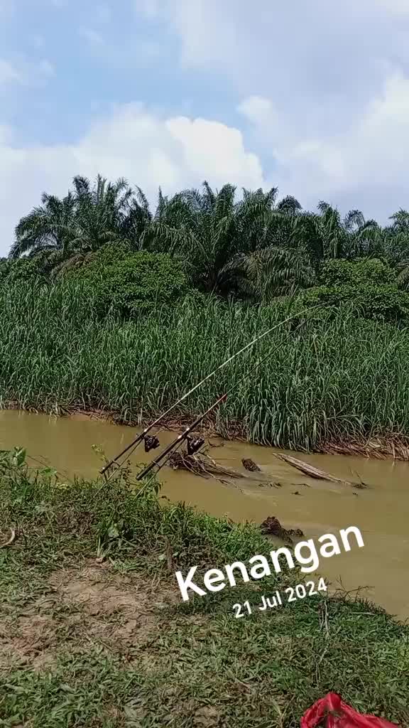 @Toman_Rimba_ll