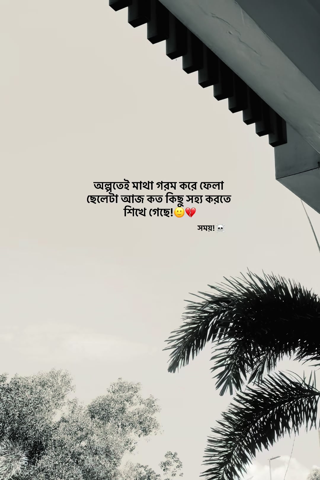 @आईएएन ┊🐥