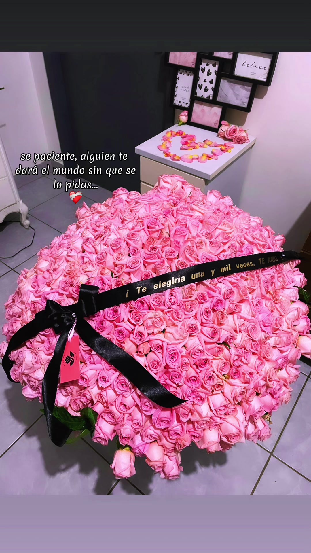 @Saidaayon🥑