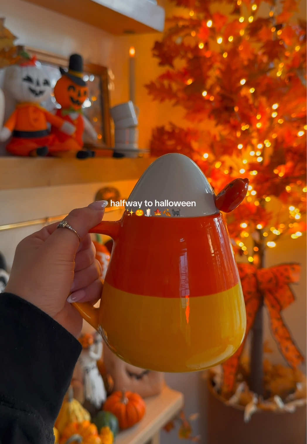 @Alex | Home & Lifestyle ✨🕯️🤍