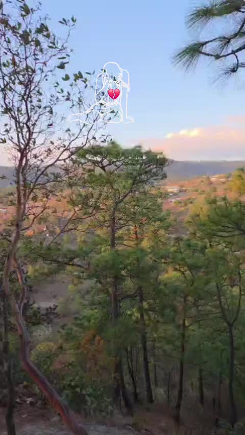 @💜🦋LA chinita👸💜🇬🇹🇺🇲