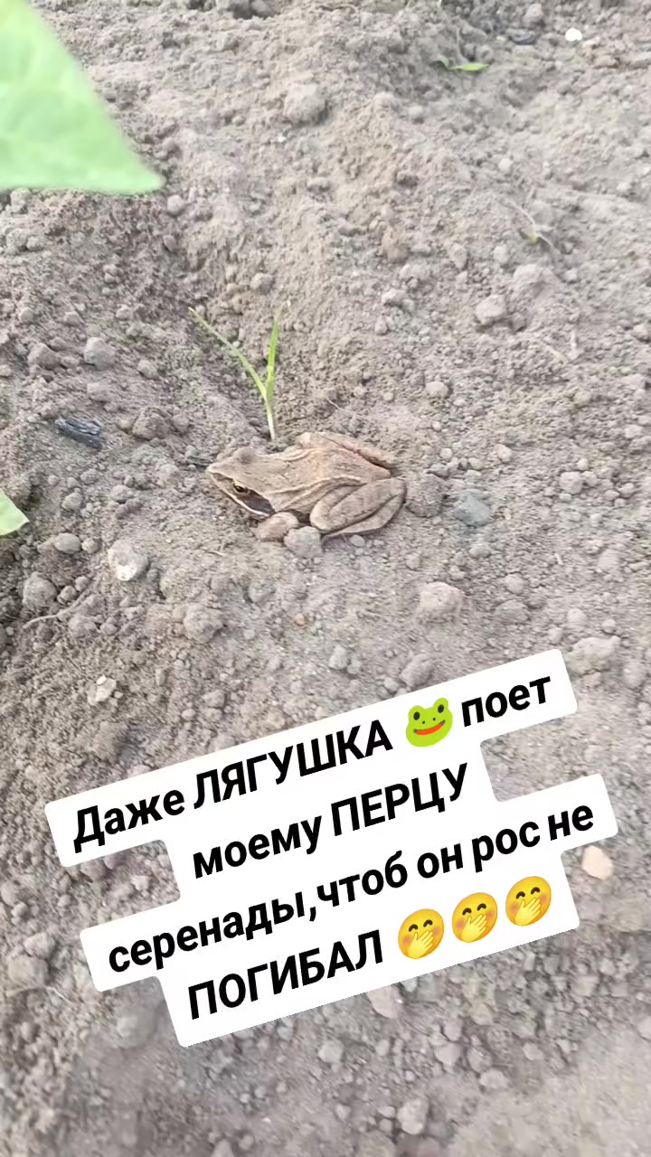 @Оленька