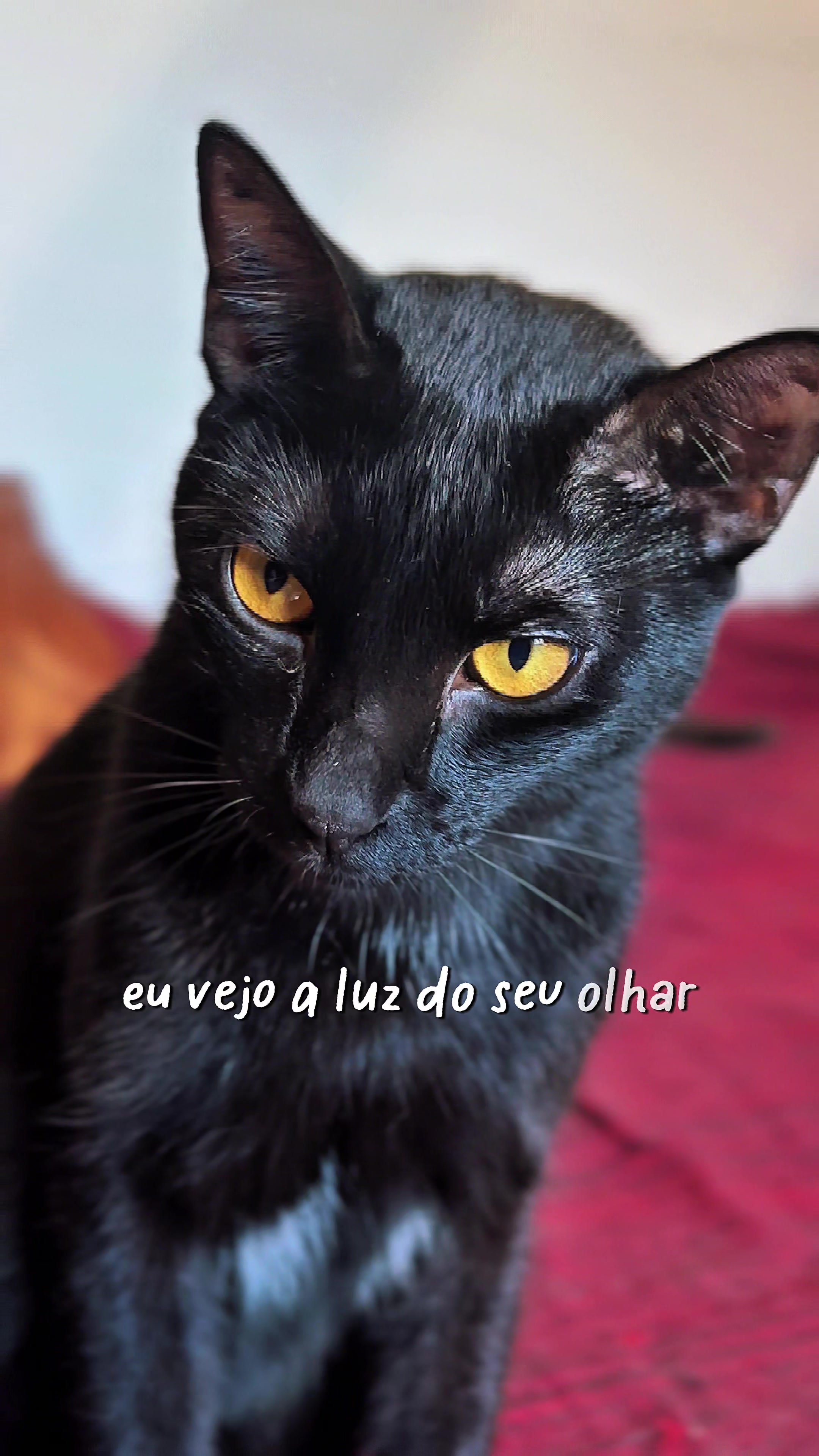 @Jéssica Teixeira