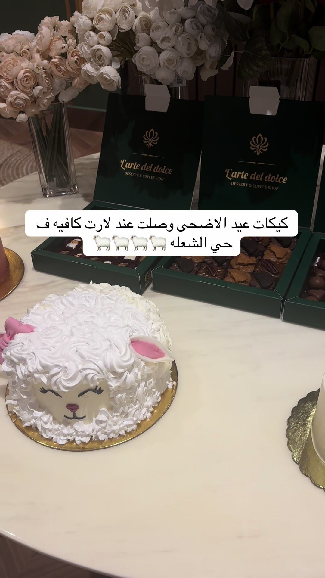 @تغطيات لولوه | الشرقية