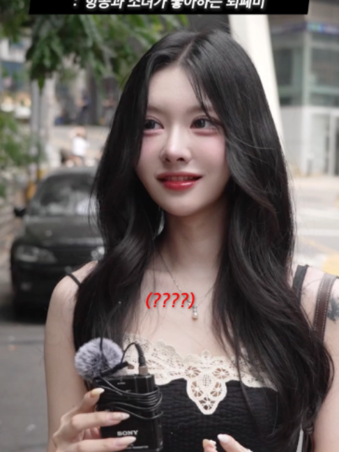 @하우머치 코리아 (HOWMUCH KOREA)