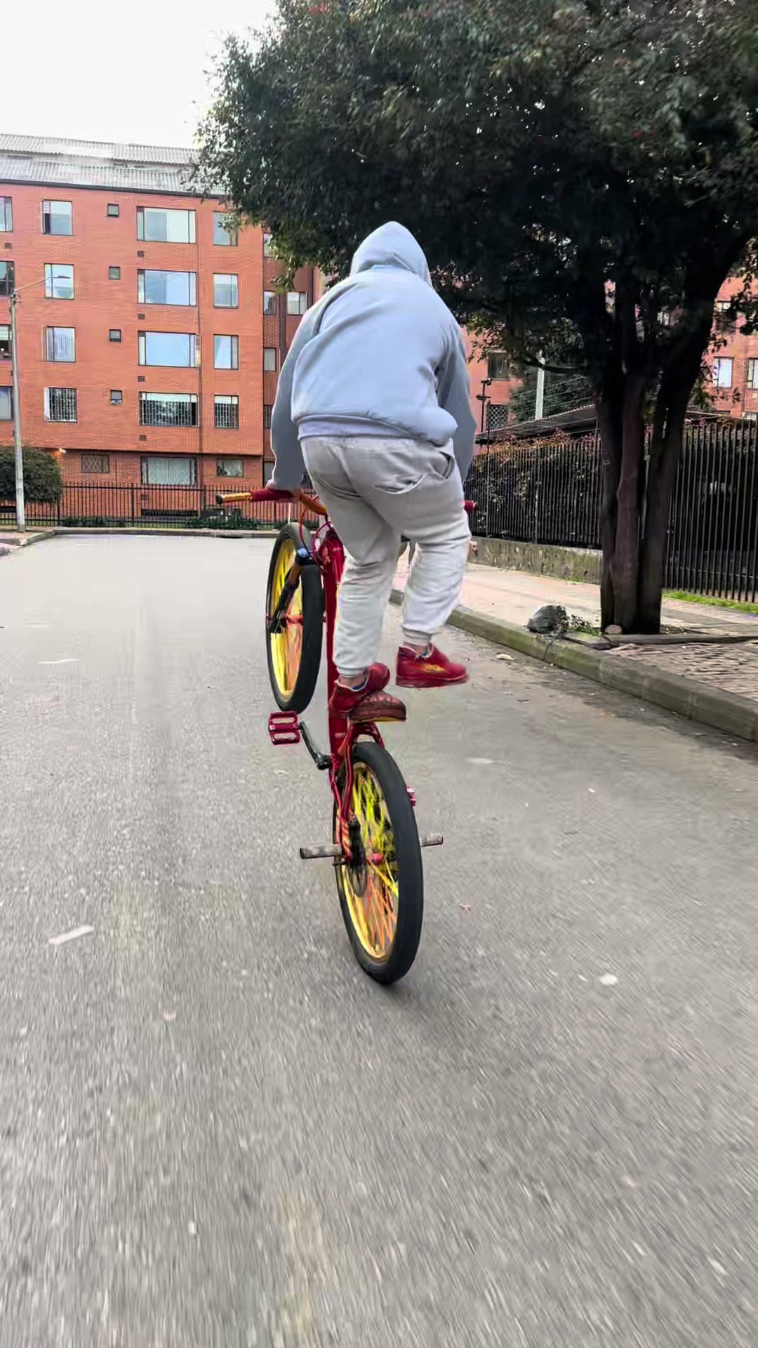 @EL RAYO BIKE LIFE