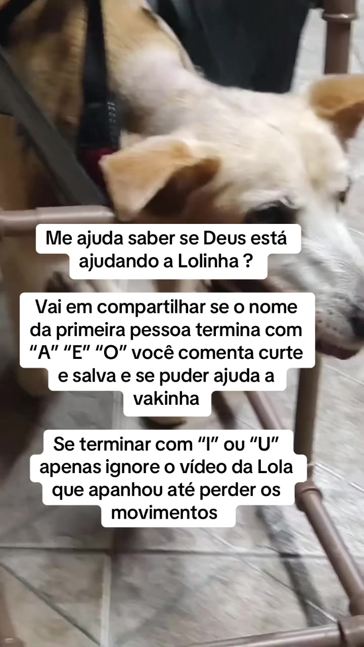 @Ajude a Lola