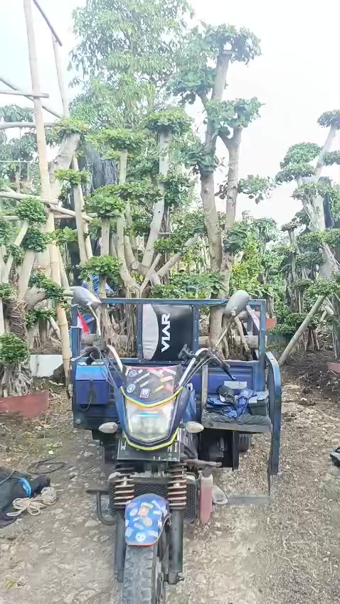 @Rayap Pantura