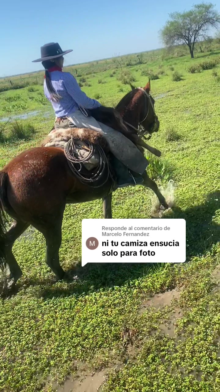 @lamaleducada